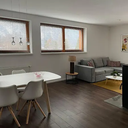 With A View Of The Hallstaettersee Apartment *