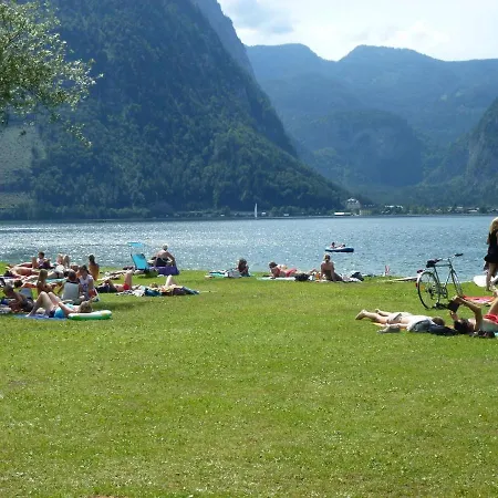 With A View Of The Hallstaettersee Apartment
